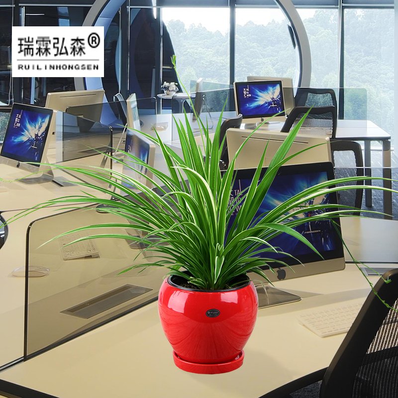 鲜花绿植