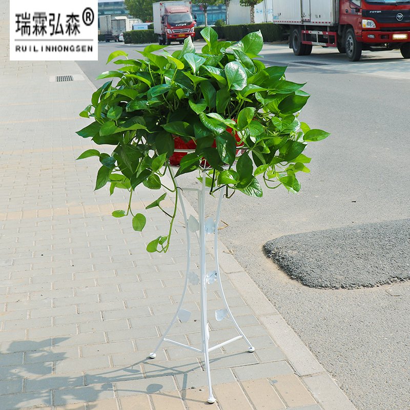鲜花绿植
