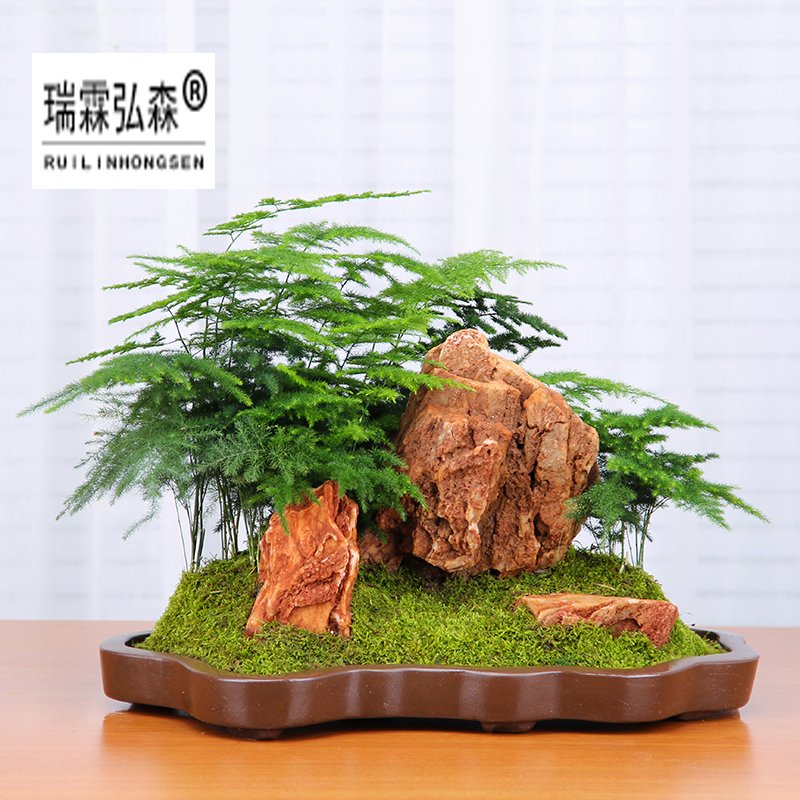 鲜花绿植