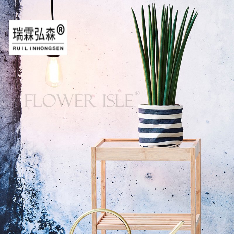 鲜花绿植