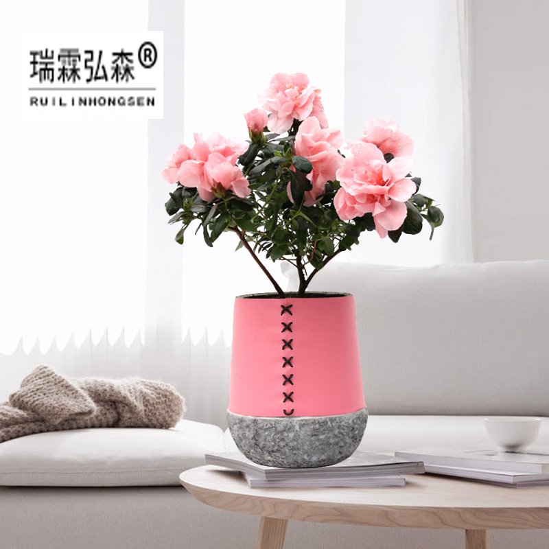 鲜花绿植
