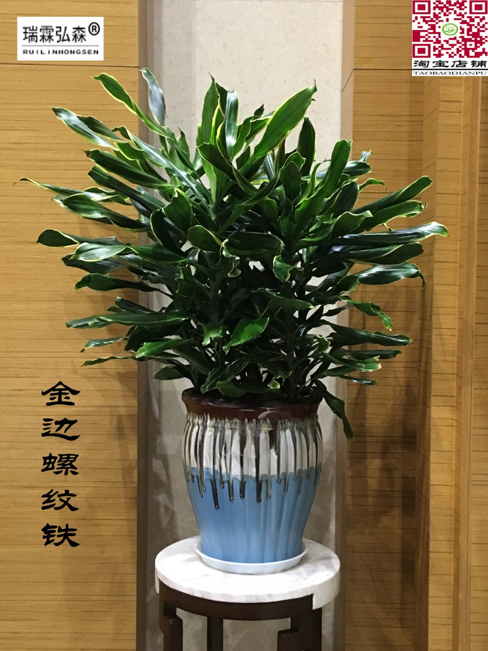 鲜花绿植