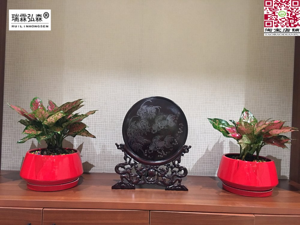 鲜花绿植