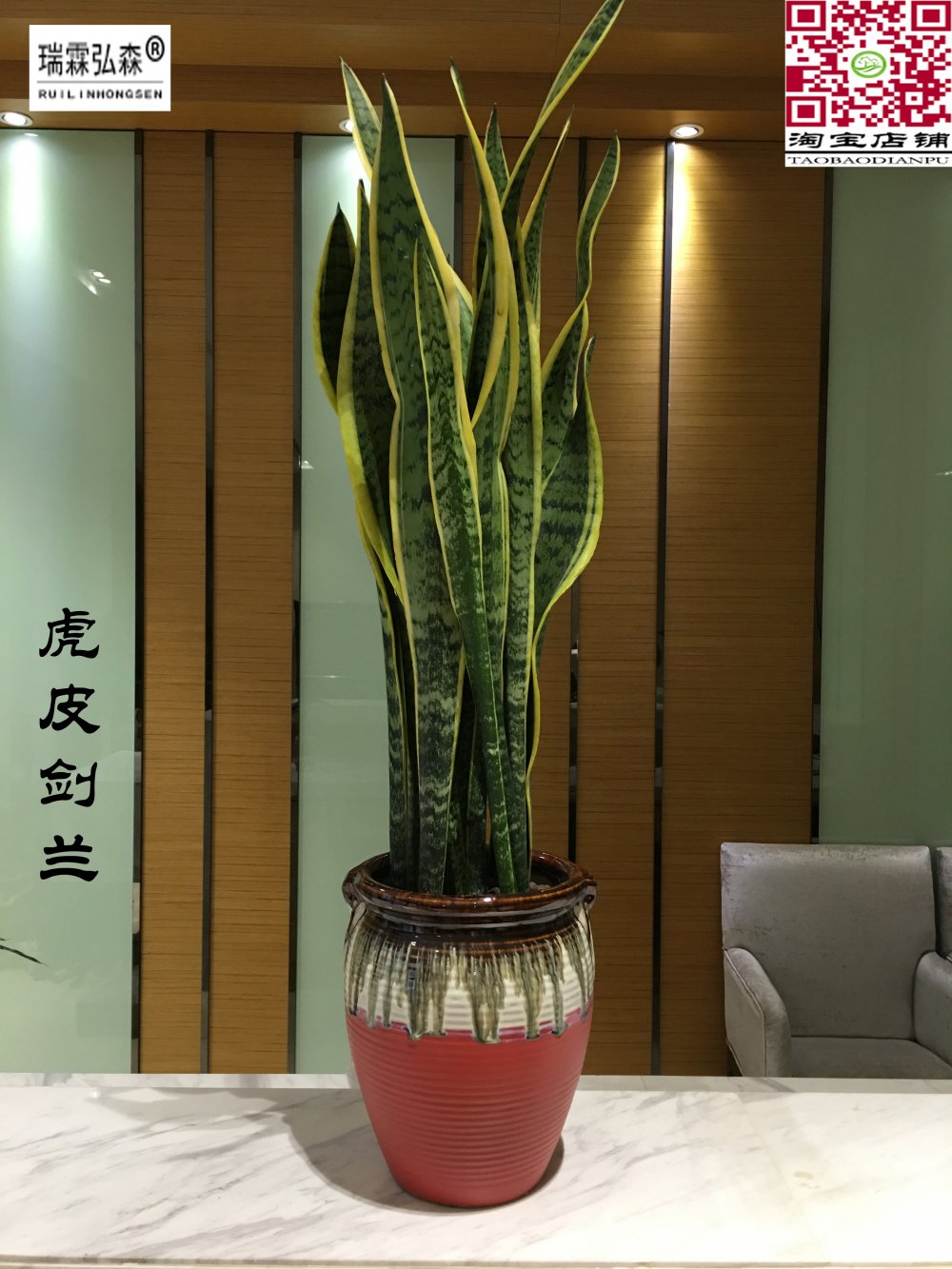 鲜花绿植