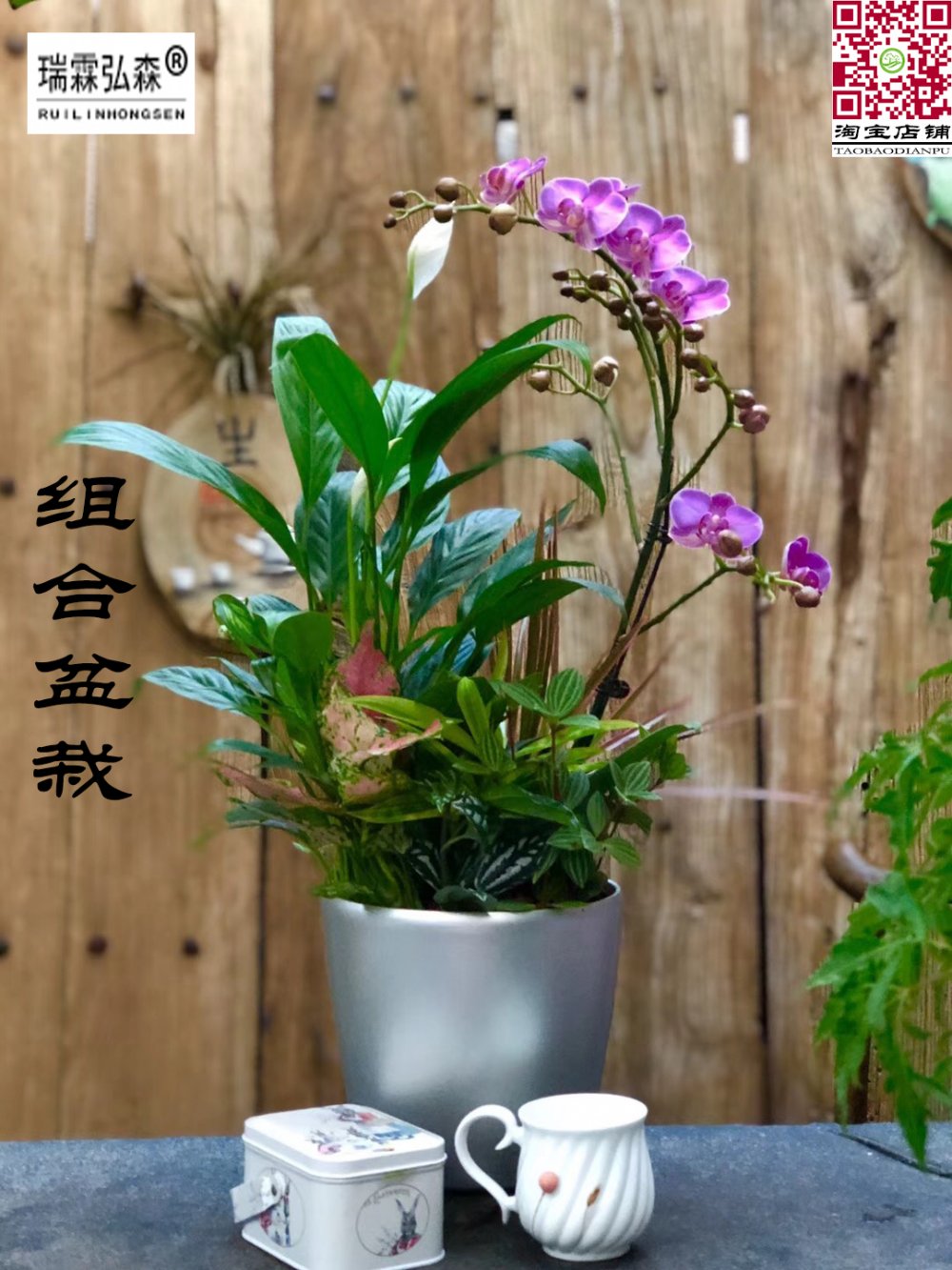 鲜花绿植