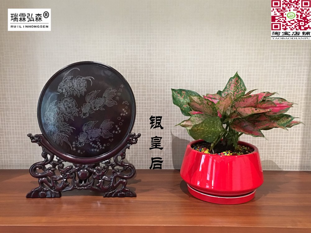 鲜花绿植