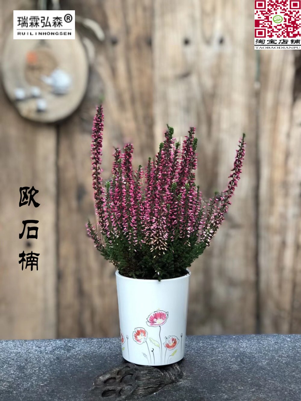 鲜花绿植