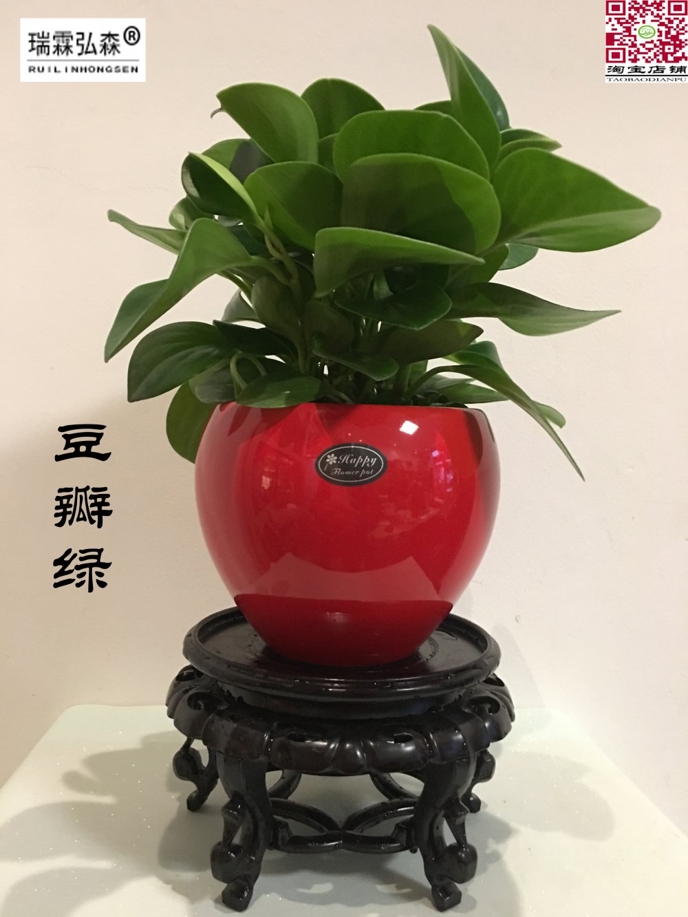 鲜花绿植