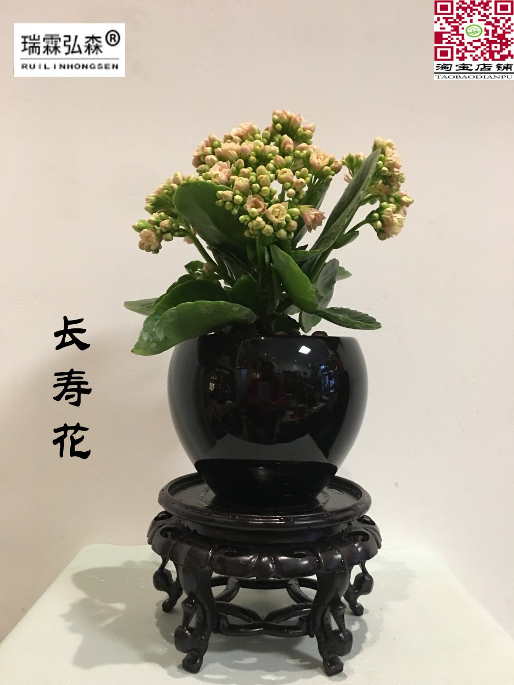 鲜花绿植