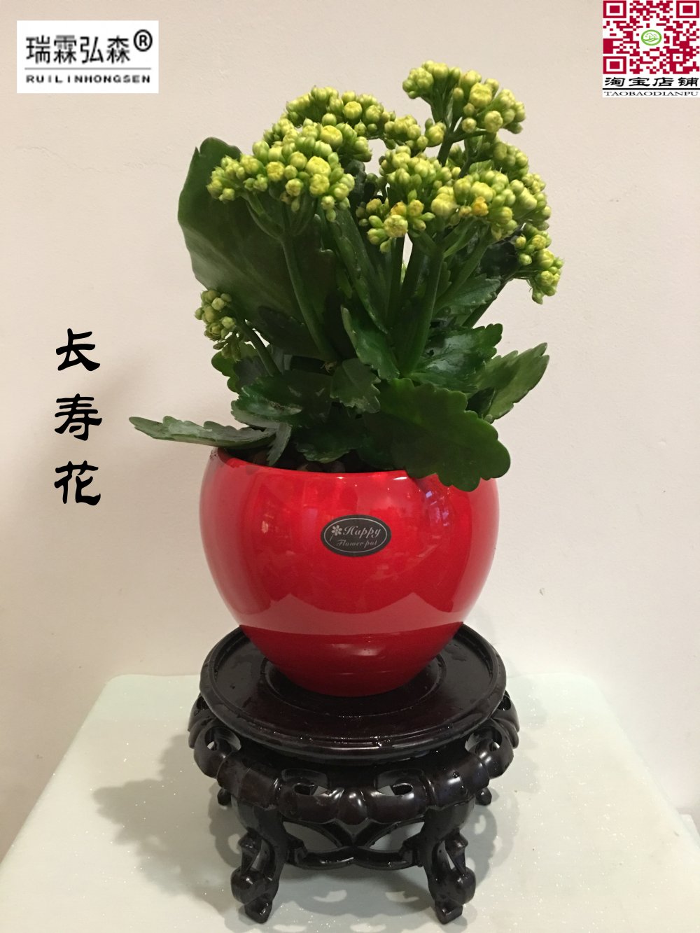 鲜花绿植