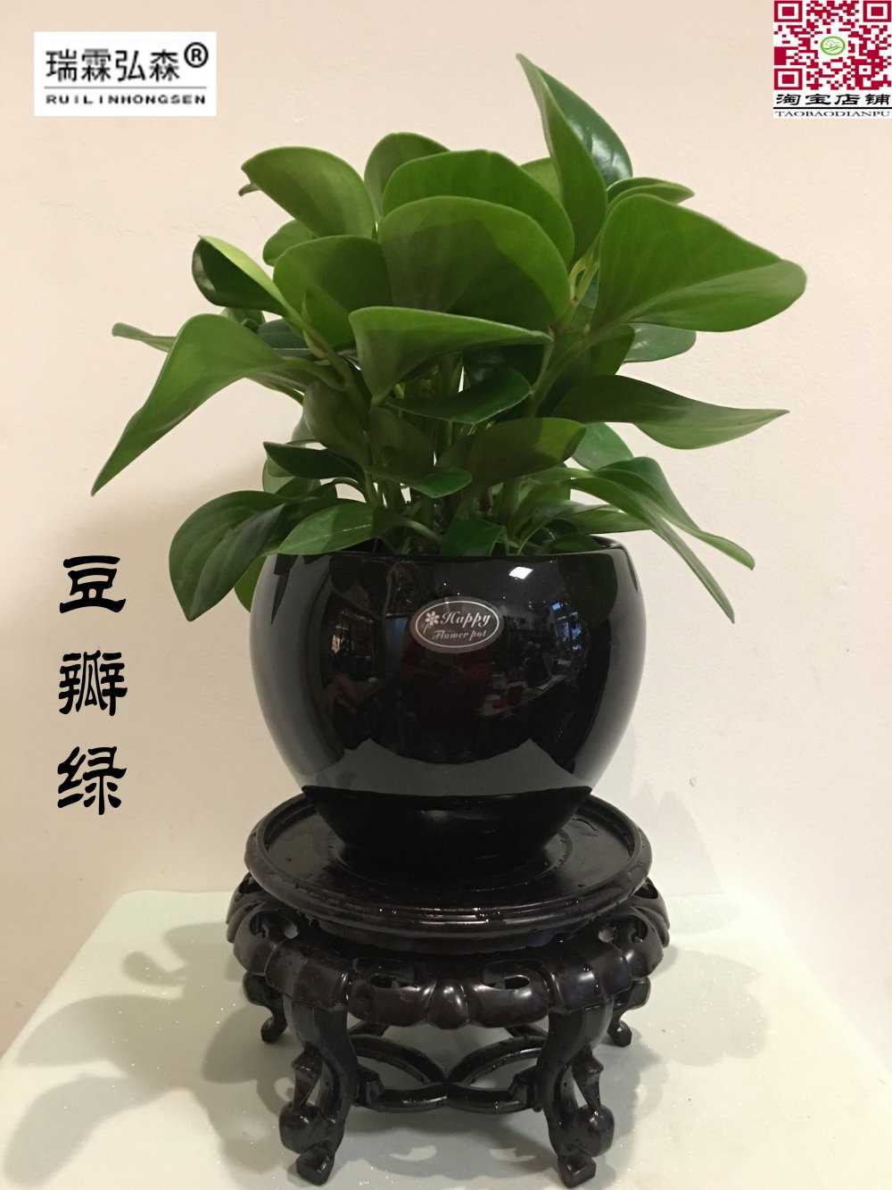 鲜花绿植