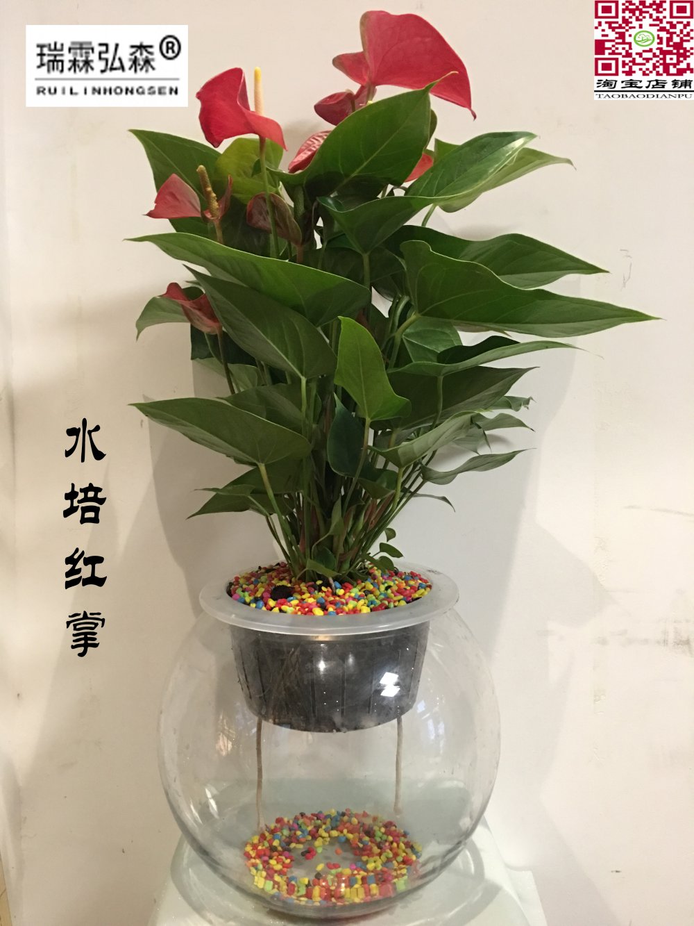 鲜花绿植