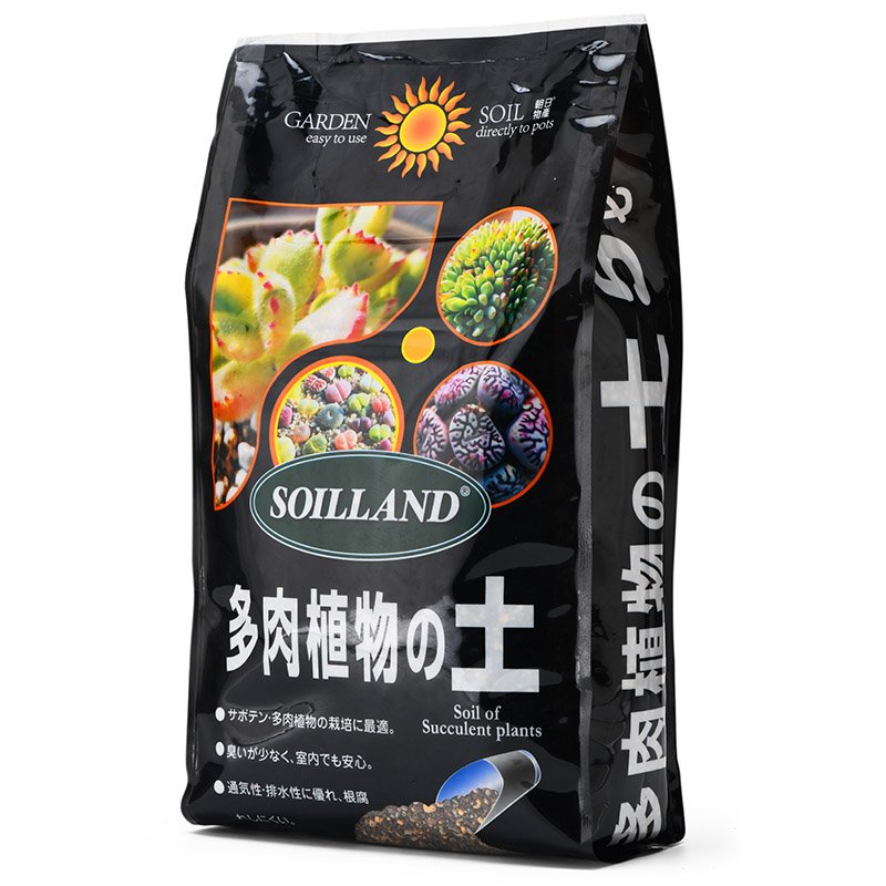 多肉土