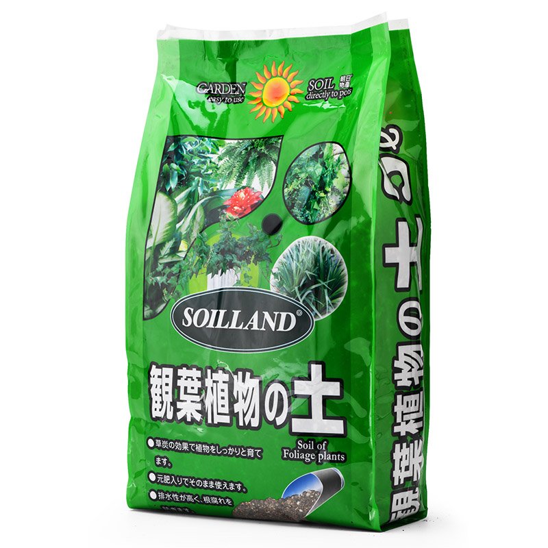 观叶植物土