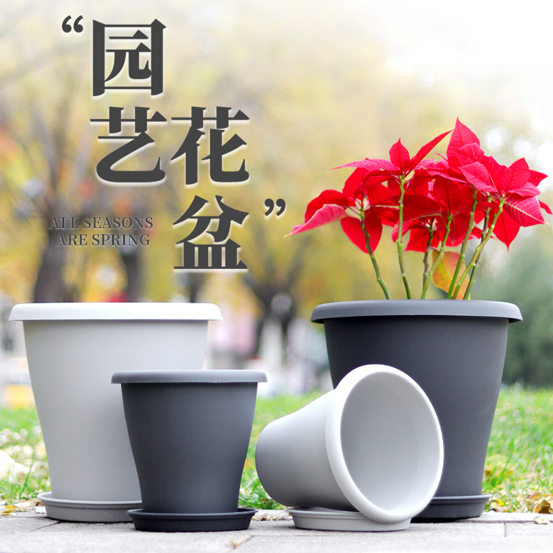 百合花盆