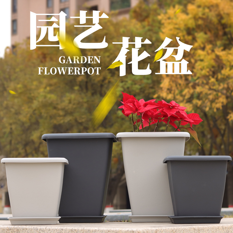 方形木棉