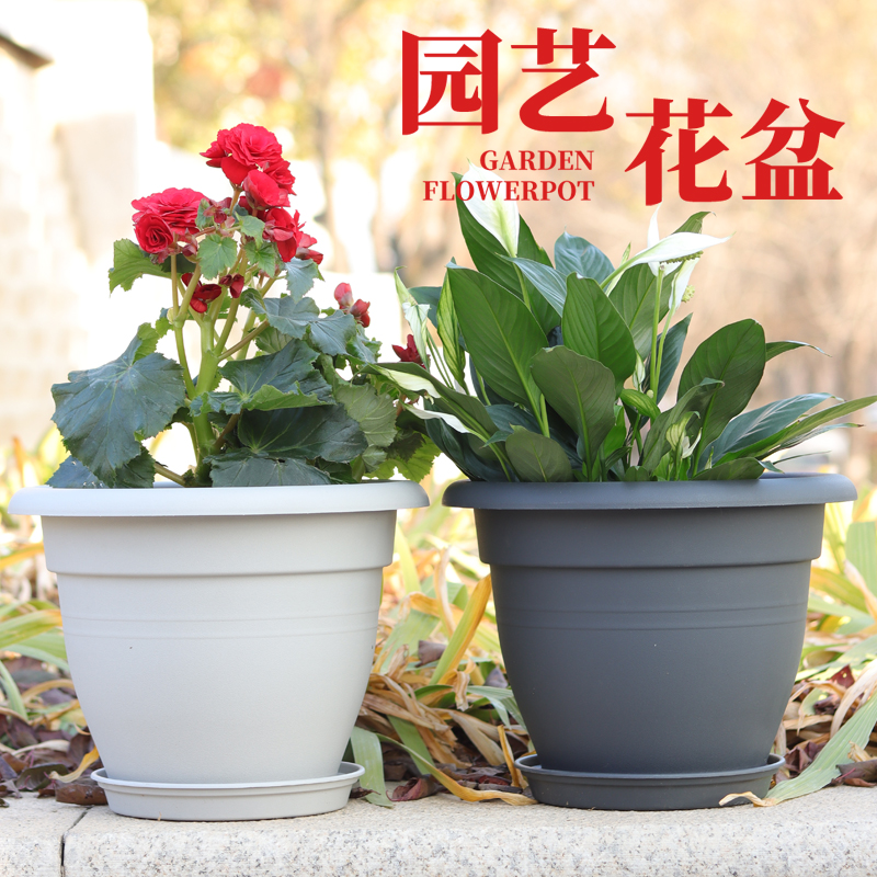 种植盆