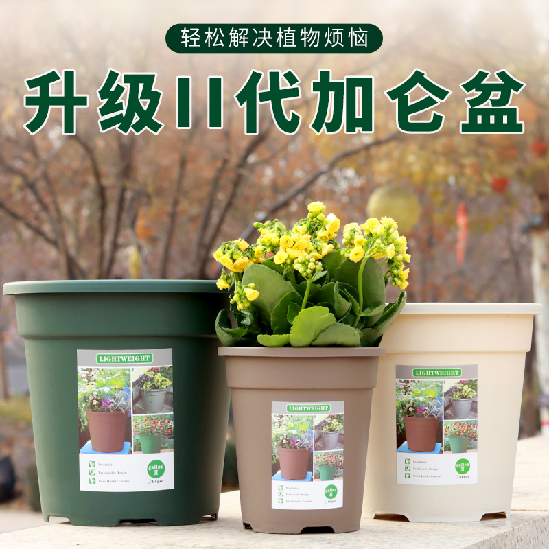 二代加仑盆