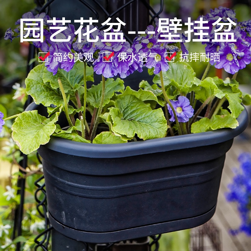 壁挂盆