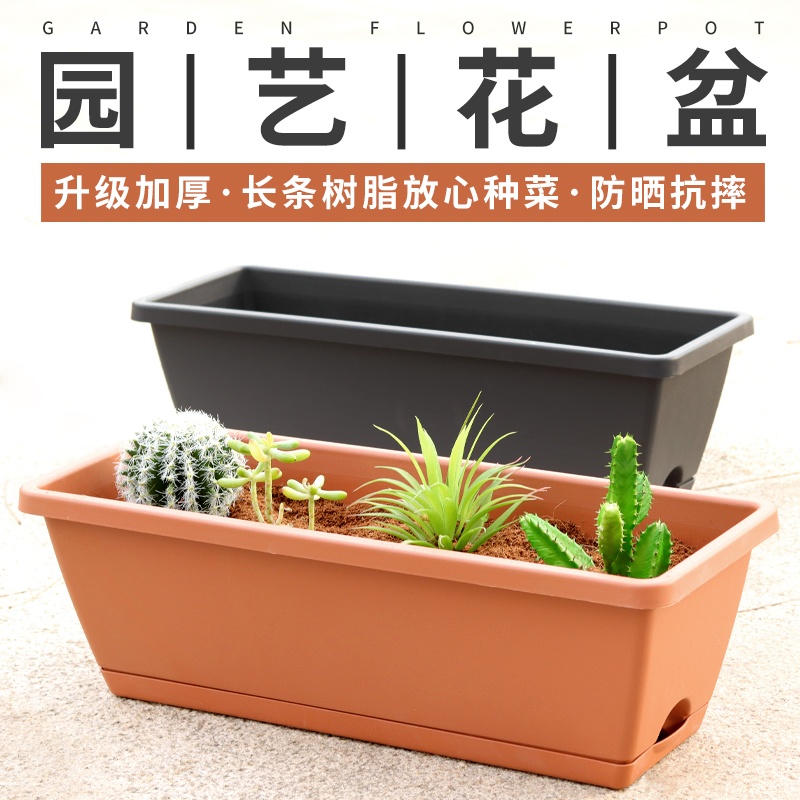 长条盆