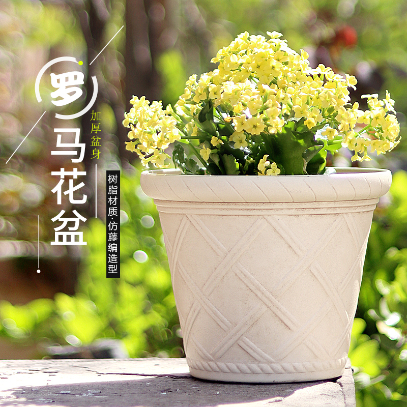 罗马花盆