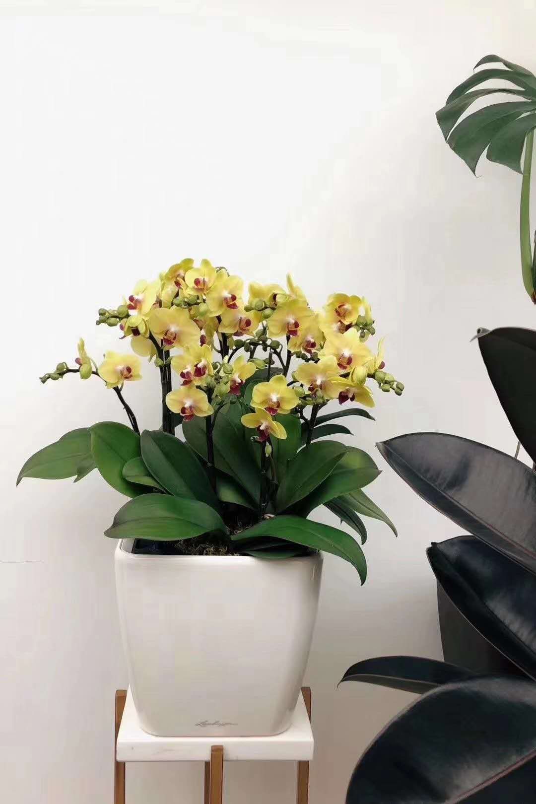 花草树木