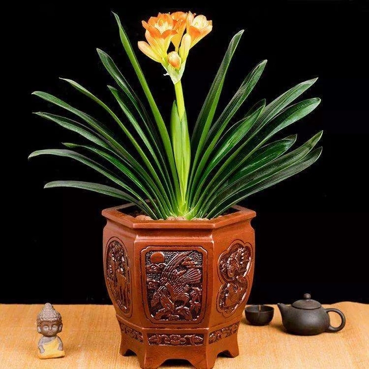 花草树木